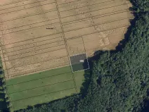 Prodej louky, Vavřinec, 16163 m2