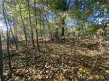 Prodej pozemku, Zdislava, 1043 m2