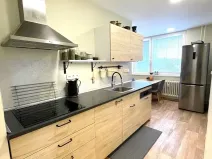 Prodej bytu 2+1, Uherský Brod, Partyzánů, 54 m2