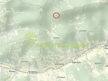 Prodej lesa, Halenkov, 3003 m2