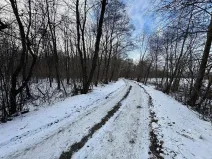 Prodej louky, Bruzovice, 94427 m2