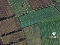 Prodej pole, Bánov, 4681 m2