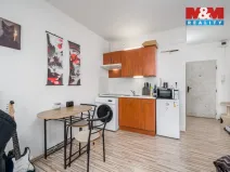 Prodej bytu 1+kk, Ústí nad Labem - Severní Terasa, Glennova, 19 m2