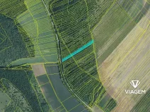 Prodej lesa, Silůvky, 3372 m2