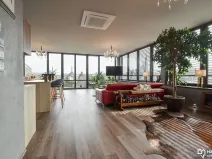 Pronájem bytu 1+kk, Olomouc, Kubíčkova, 97 m2