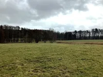 Prodej zemědělského objektu, Dolní Město, 124655 m2