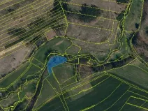 Prodej lesa, Pošná, 3636 m2