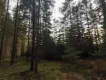 Prodej lesa, Pošná, 12283 m2
