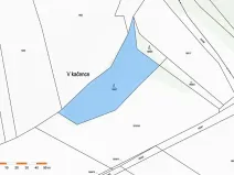 Prodej lesa, Pavlice, 3317 m2