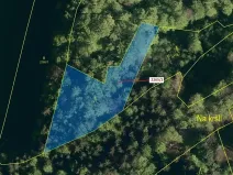 Dražba lesa, Zděchov, 2225 m2