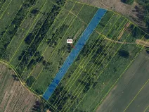 Dražba lesa, Vícenice, 6645 m2