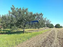 Prodej zahrady, Starovice, 1158 m2