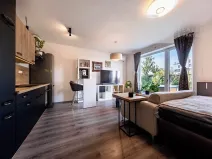 Pronájem bytu 1+kk, Brno, Moskalykova, 34 m2