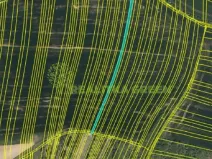 Prodej pole, Svatobořice-Mistřín, Hlavní, 8725 m2