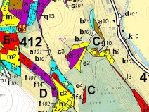 Dražba lesa, Letohrad, 3699 m2