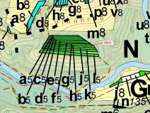 Dražba lesa, Ivančice, 507 m2