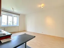 Pronájem bytu 2+kk, Brno, Havlišova, 55 m2