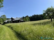 Prodej lesa, Krásná, 21810 m2