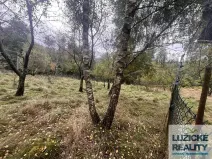 Prodej louky, Kytlice, 4475 m2