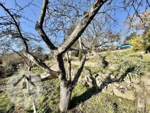 Prodej zahrady, Ústí nad Labem, V Kutišti, 359 m2