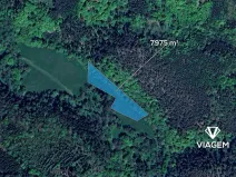 Prodej podílu pole, Chříč, 3987 m2