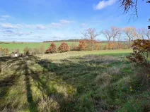 Prodej pozemku pro bydlení, Daleké Dušníky, 1217 m2