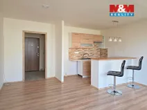 Pronájem bytu 1+kk, Ústí nad Labem - Krásné Březno, Neštěmická, 32 m2