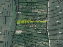 Prodej zahrady, Kyjov, 2427 m2