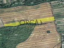 Prodej pole, Syrovín, 5796 m2