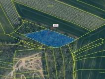 Dražba lesa, Jeviněves, 10319 m2