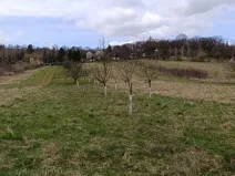 Prodej zahrady, Uherský Brod, 899 m2