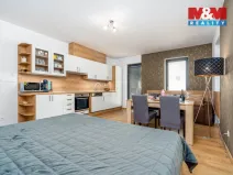 Prodej bytu 1+kk, Vrchlabí - Hořejší Vrchlabí, Horská, 44 m2