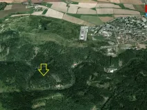 Prodej lesa, Tábor, 16969 m2