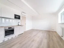 Pronájem bytu 1+kk, Brno, Palackého třída, 29 m2