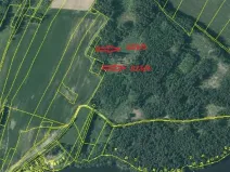 Prodej lesa, Nová Bystřice, 2850 m2