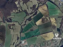 Prodej pole, Záhorovice, 1644 m2