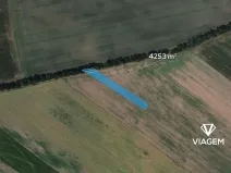 Prodej podílu pole, Prušánky, 1417 m2