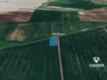 Prodej podílu pole, Chotěšov, 1745 m2