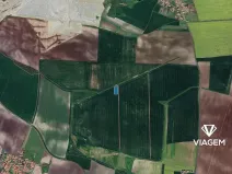 Prodej podílu pole, Chotěšov, 1745 m2