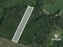 Prodej podílu lesa, Prštice, 1259 m2