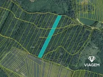 Prodej podílu lesa, Prštice, 1259 m2