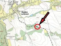 Prodej podílu lesa, Mladějov na Moravě, 1594 m2