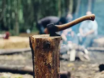 Prodej podílu lesa, Tichá, 6435 m2