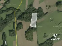 Prodej podílu lesa, Tichá, 6435 m2