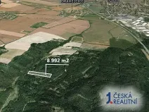 Prodej podílu lesa, Drahelčice, 3372 m2