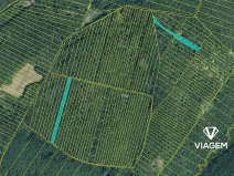 Prodej podílu lesa, Brno, 996 m2