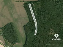 Prodej podílu lesa, Koloveč, 859 m2