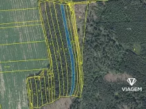 Prodej podílu lesa, Koloveč, 859 m2