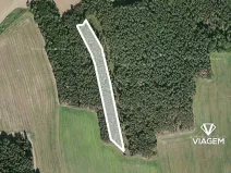 Prodej podílu lesa, Koloveč, 2021 m2