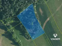 Prodej podílu lesa, Kuřimská Nová Ves, 1166 m2